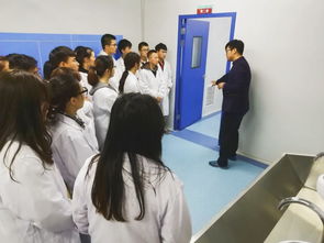 融合匠心與創(chuàng)意 GMP教學(xué)工廠中文化藝術(shù)交流活動的組織與探索