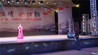 文化惠民暖人心 廣州市文廣新局文藝演出走進(jìn)大埔西湖公園